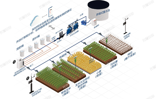 智能水肥一體化灌溉系統